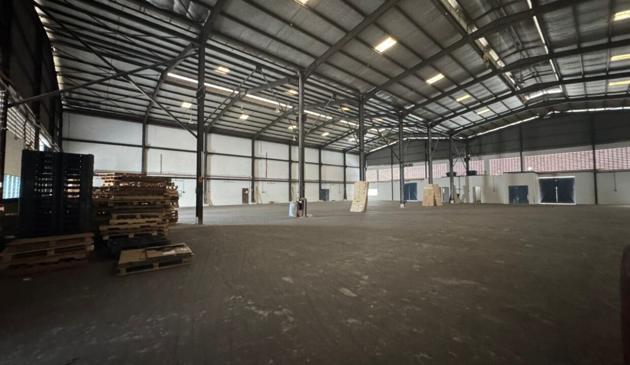 WhatsApp Image 2025-01-02 at 3.24.02 PM