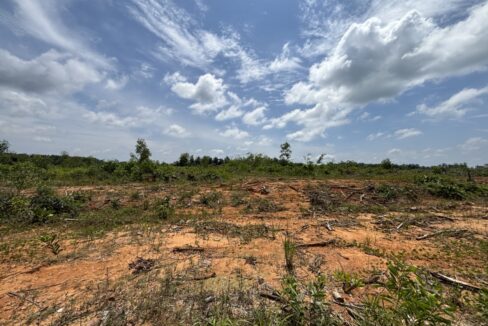 industrial land 2